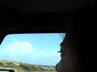 Swinger Outdoor Beach Gang bang Public Sex Part Ii