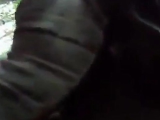 Daddy Bear Sucks in the Park